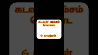 தெய்வீக அம்சம் கொண்ட மலர்கள் #shorts #shortsfeed #shortsviral #shortvideo #ஆன்மீகம் #சாட்ஸ்