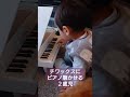 ２歳天才ピアニスト現わる！チワックスにピアノを聴かせる２歳児♪ shorts チワックス ２歳児ピアノ 癒し 天才ピアニスト