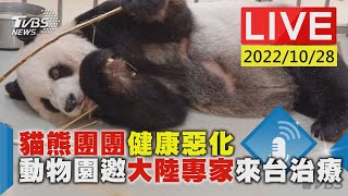 貓熊團團健康惡化 動物園邀大陸專家來台治療LIVE