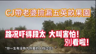 CJ帶老婆準備撿漏五英畝果園，去房子沿路的路况吓得段太大叫害怕！別看啦！|看房日记|美國看房二十年|买地建房|旧房翻新|购买法拍房|装修|加建ADU|特美库拉|美国房价|洛杉矶房价|temecula|