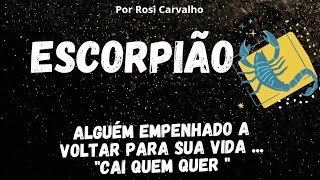 🔱 ESCORPIÃO 》ALGUÉM EMPENHADO A VOLTAR PARA SUA VIDA ‼️\