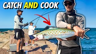 Spanish Mackerel Catch and Cook UNSEASONED - Pure Flavor