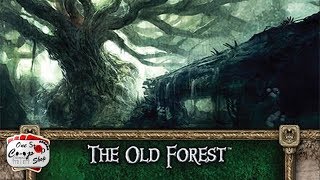 LOTR Saga | Quest 1.1 | The Old Forest | Part 1