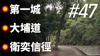 [Driving in Hong Kong | Day | Timelapse #47] Cityone - Tai Po Road - Wilson Trail Section 5