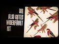 KRAYENZEIT & HARPYIE Vogelhochzeit (OFFICIAL VIDEO 2017)
