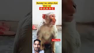 ▶️ बंदर ने क्या बोला🐒🙊🙉अद्भुत 🤩जादू#रियलफूलकॉमेडी#बंदर #surajroxfunnyvibeo#jokes #surajrox🤣