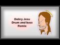 dobry jezu drum and bass remix