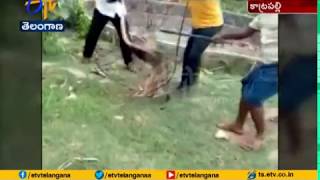 Fox Rescued | After Falls into Well | at Katrapalli | Mahabubabad Dist