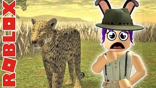 Lets Flyhow To Be A Marabou Stork In Roblox Wild - 