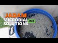 Cara Membuat dan Menggunakan JMS = JADAM Microbial Solution @ Baja Organik Nasi Basi 🙏🌿🤠