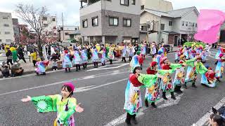 [4K] どっと　瑞浪バサラカーニバル 2024（バサカニ） 公園通線南会場 (投げ入れタイム)