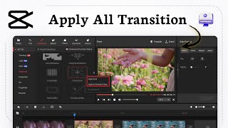 How to apply the same transition to all clips in CapCut PC