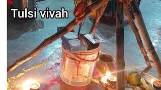 Ekadashi Vrat tulsi vivah #tulsivivah #vlog