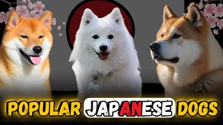 TOP 10 POPULAR JAPANESE DOG BREEDS | Top 5ology