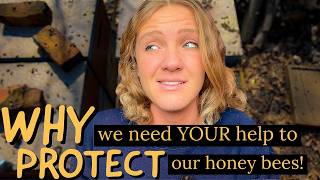 Are Commercial Beekeepers Our FRIENDS?! Beekeeping 101 #beekeeping