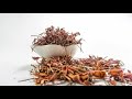 marshmallow root benefits