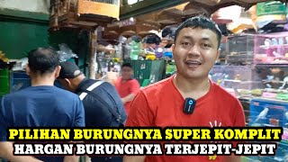 HARGA BURUNGNYA TERJEPIT-JEPIT!!UPDATE HARGA BURUNG DIKIOS JEPARA BAROKAH PASAR BURUNG PRAMUKA