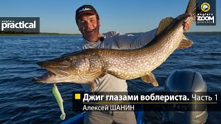 Джиг глазами воблериста. Часть 1. Алексей Шанин. Anglers Practical