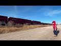 gorgeous fall afternoon rural manitoba train 4k 60fps.