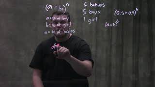 Genetics: Binomial Expansion