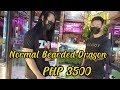 bilihan ng mga exotic pets sa quezon city presyo ng reptiles