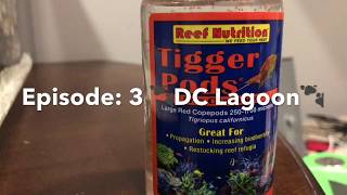 DC Lagoon Episode: 3 Pods