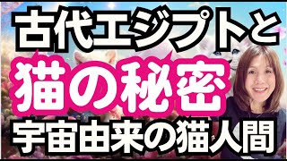 猫の星からきたスターシードの不思議⭐️古代エジプトとの関係・猫の島で起こっている奇跡