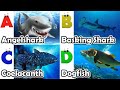 ABC Under the Sea Song | Sea Animals song | Learn English, Alphabets and Animals for Kids #abcd