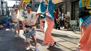 20230722 Togoshi Ginza Awa Odori Summer 戸越銀座阿波踊り(夏)