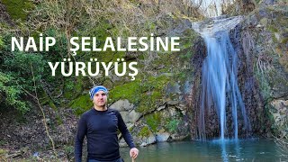 NAİP ŞELALESİ / NAİP WATERFALL - Ormanda Doğa Yürüyüşü.