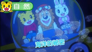 2025年3月號學習版【不可思議的大發現】海洋的祕密