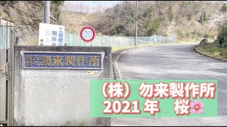 株式会社勿来製作所【2021年桜】