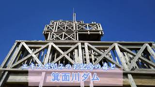 エキスポ90みのお記念の森と箕面川ダム 20211030 ドローン