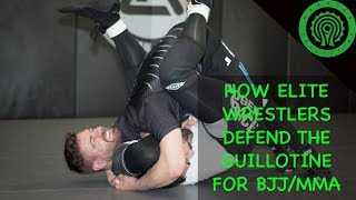 How Elite Wrestlers defend the Guillotine for BJJ / MMA