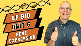 Crack the Code: Mastering Gene Expression in AP Bio Unit 6