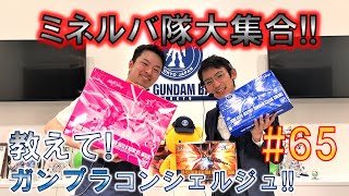 教えて！ガンプラコンシェルジュ！！#64（HGCE 1/144 デスティニーガンダム(ハイネ専用機)）