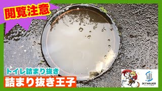 【詰まり抜き】トイレの外桝が溢れてる！？汚水なのか雨水なのか分かりませんでした笑！職人による高圧洗浄で排水管と外の桝をきれいに掃除！すっきり！[drain][排水溝掃除][現場]