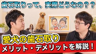 【犬の歯石取り】メリット・デメリットをペットショップ店長が解説します！