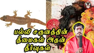 பல்லி சகுனத்தின் தீமைகள் அதன் தீர்வுகளும் | பள்ளி சகுனத்தின் பலன்கள் | Sri Bagavathy Beedam