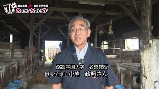 DairyNaviTv#69 酪農学園大学 小岩先生インタビュー