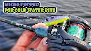 Fishing for Cold Topwater Bites on the Eurotackle Z-Popper - BFS Pickerel Galore