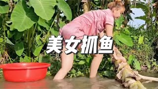 农村美女勤劳能干，一手摸鱼技术让人大开眼界#户外 #捕鱼 #抓鱼