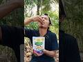 Makan Promina Puffs Rasa Blueberry #makan #makanan #promina #prominapuffs  #prominapuffsblueberry