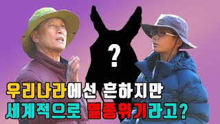 [에코스쿨 놀이터 4편] 고라니가 멸종위기종이라고요??