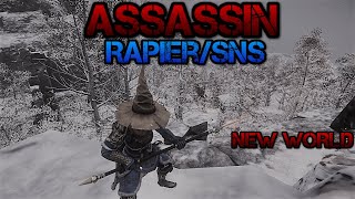 DEX ASSASSIN | New World PvP | Rapier/SnS