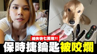 保時捷鑰匙被咬爛？！損失快七萬！狗兒子咬爛物品開箱！【我是蕾菈I'm Lyla】