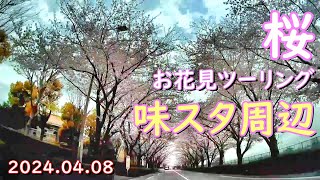 お花見ツーリング　味スタ周辺の桜　2024.4.8撮影