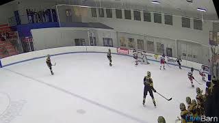LiveBarn 776875 30000 Camden National Bank Ice Vault Main Rink 2021 11 07T112957