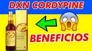 CORDYPINE DXN: Beneficios, Propiedades, Ingredientes y Donde COMPRARLO🔥