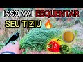 COMO FOGUEAR SEU TIZIU | COMO ESQUENTAR SEU TIZIU FRIO | APRONTANDO TIZIU FRIO | TIZIU CANTANDO